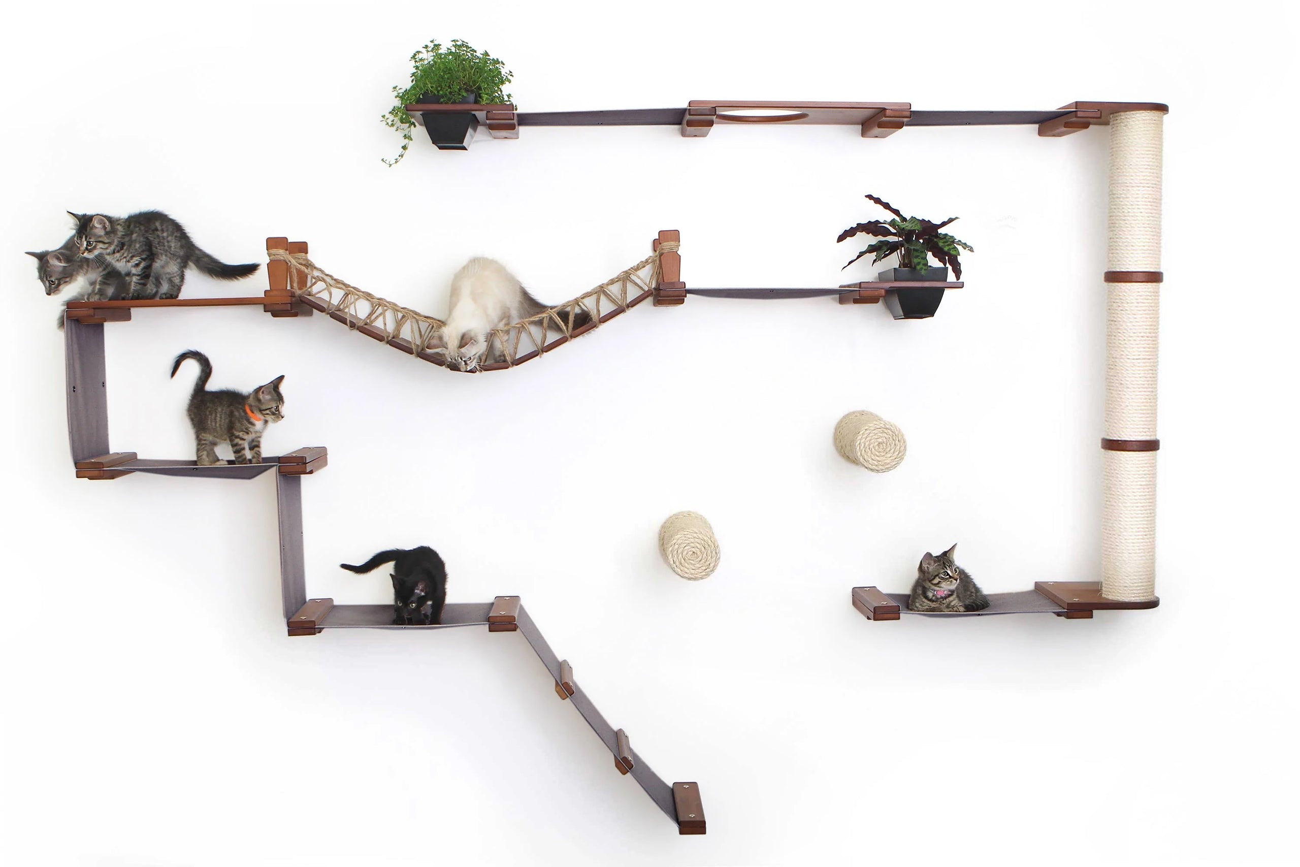 The Juggernaut - Indoor Cat Playground for Wall