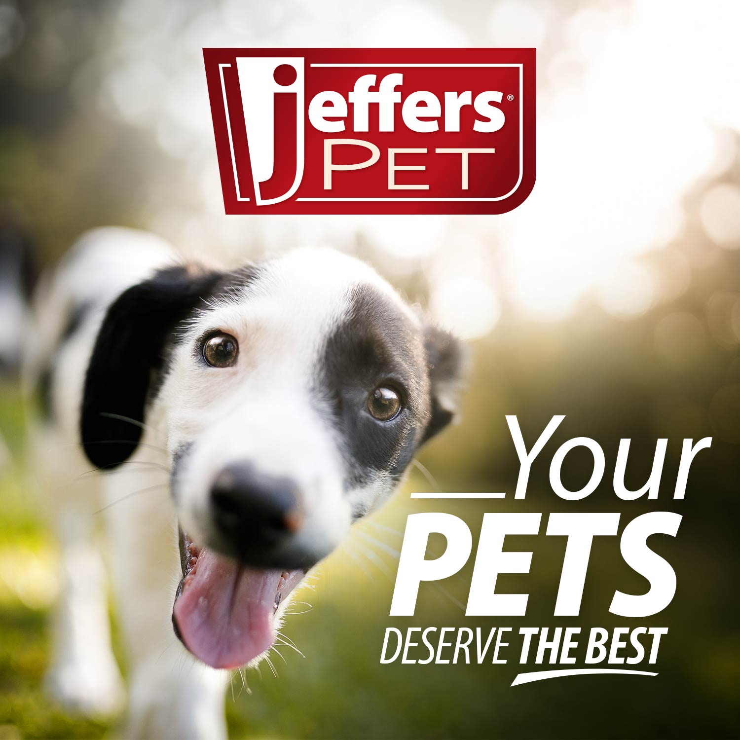 Captivating Citrus All-Natural Flea Bite Relief Shampoo for Dogs and Cats