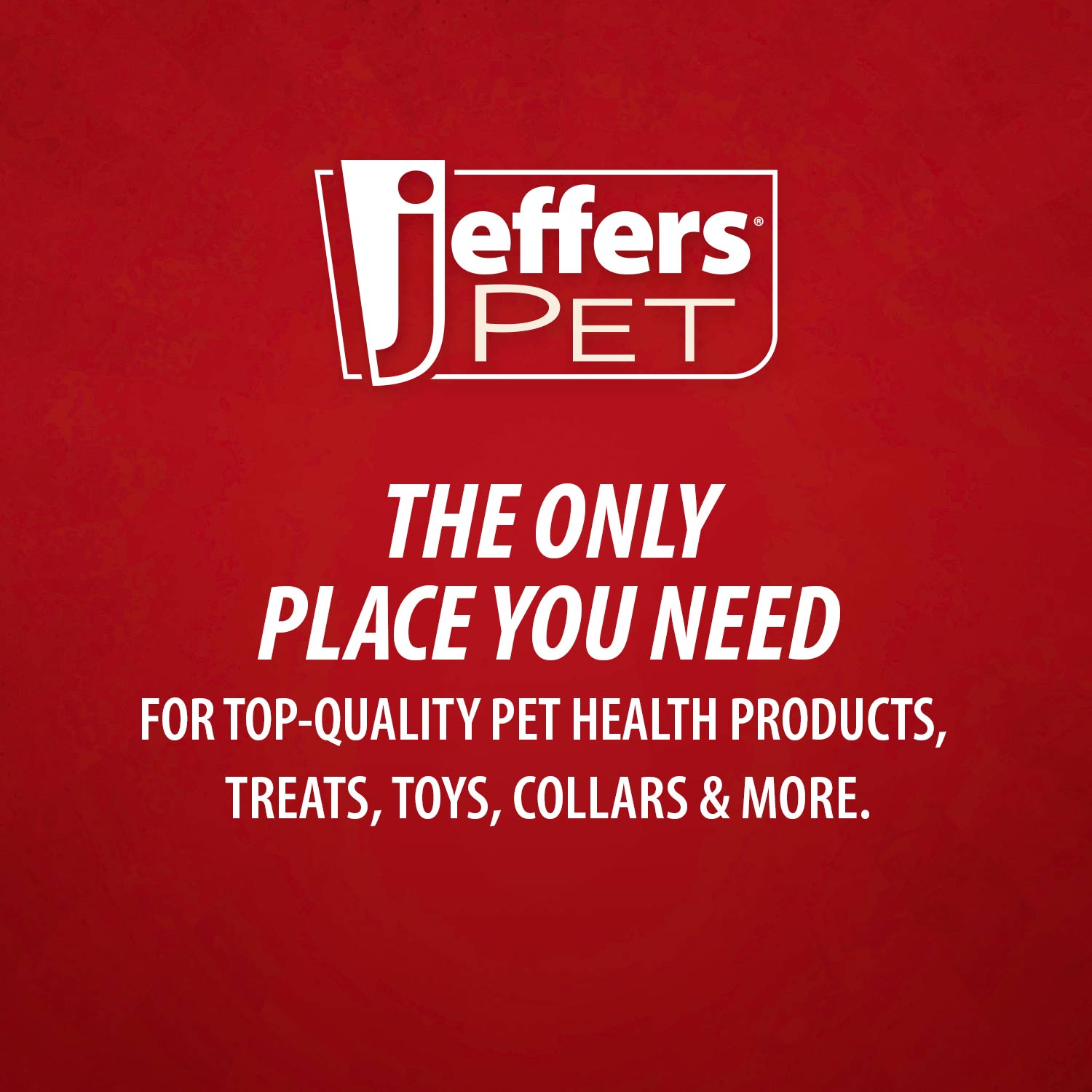 Jeffers Squeaky Strawberry Natural Rubber Dog Dental Chew Toy with Squeaker & Vanilla Scent for Medium Chewers