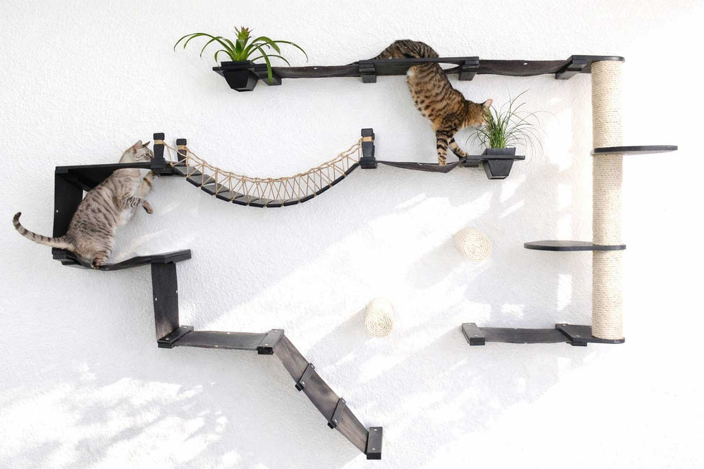 The Juggernaut - Indoor Cat Playground for Wall