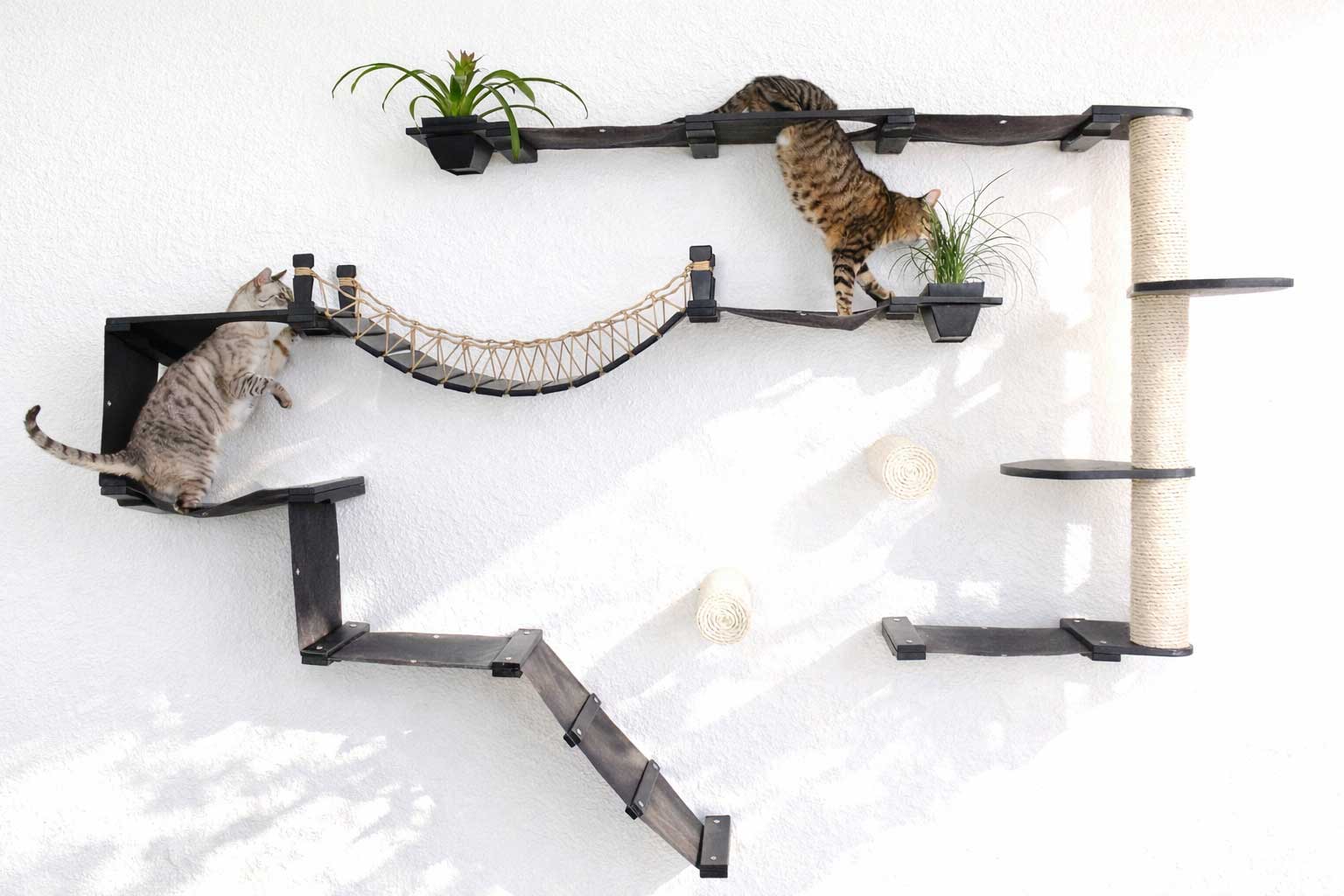 The Juggernaut - Indoor Cat Playground for Wall