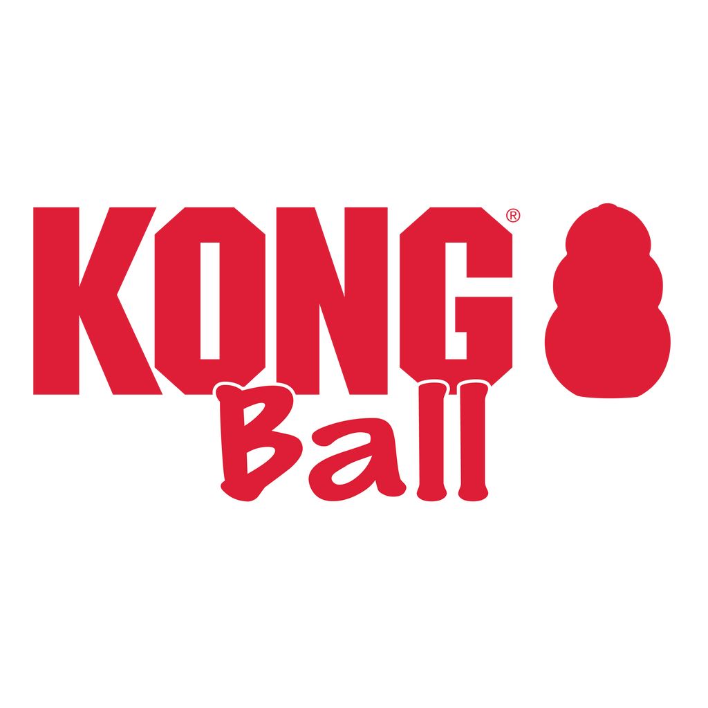 Kong Ball with Hole Small