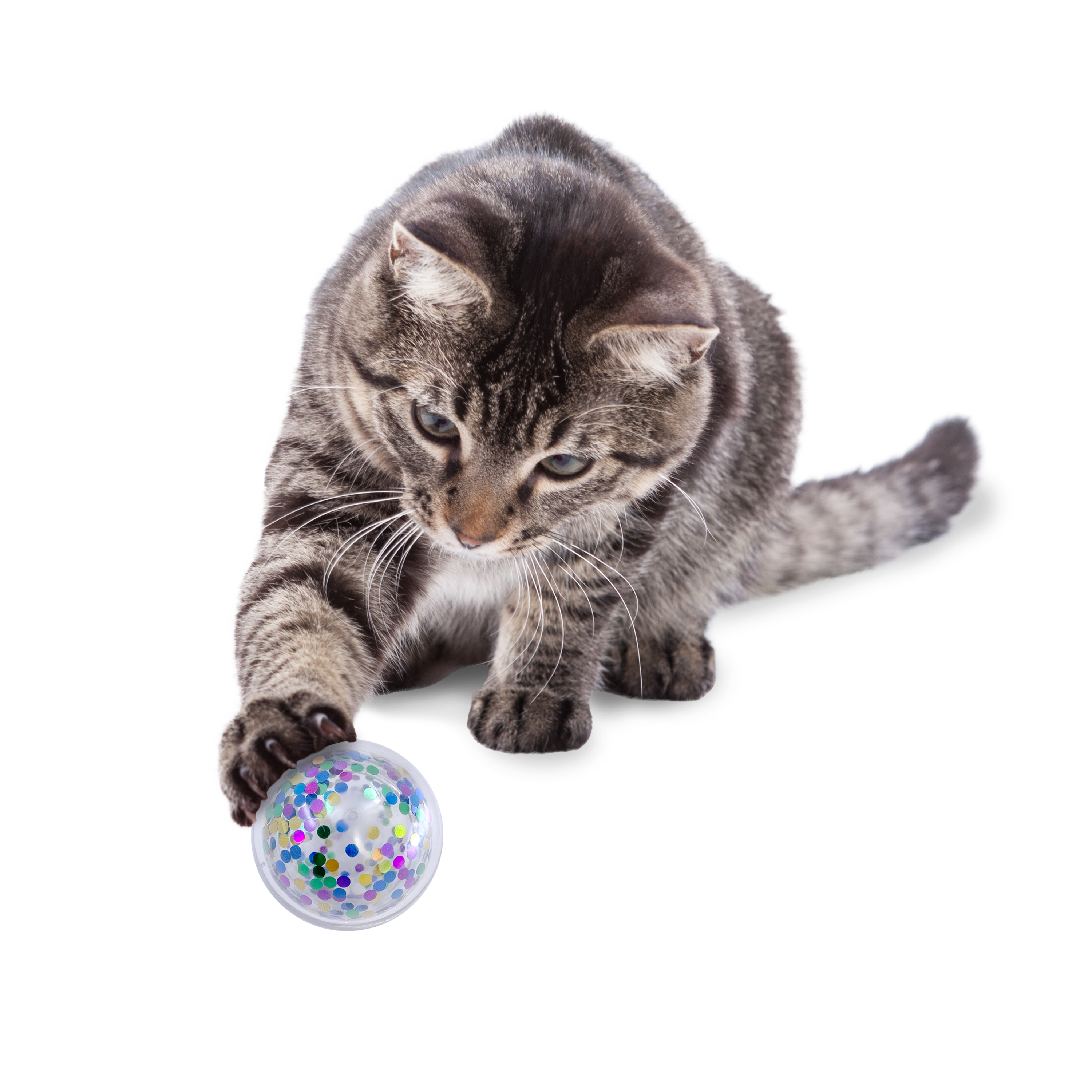 Kong Cat Active Confetti Ball