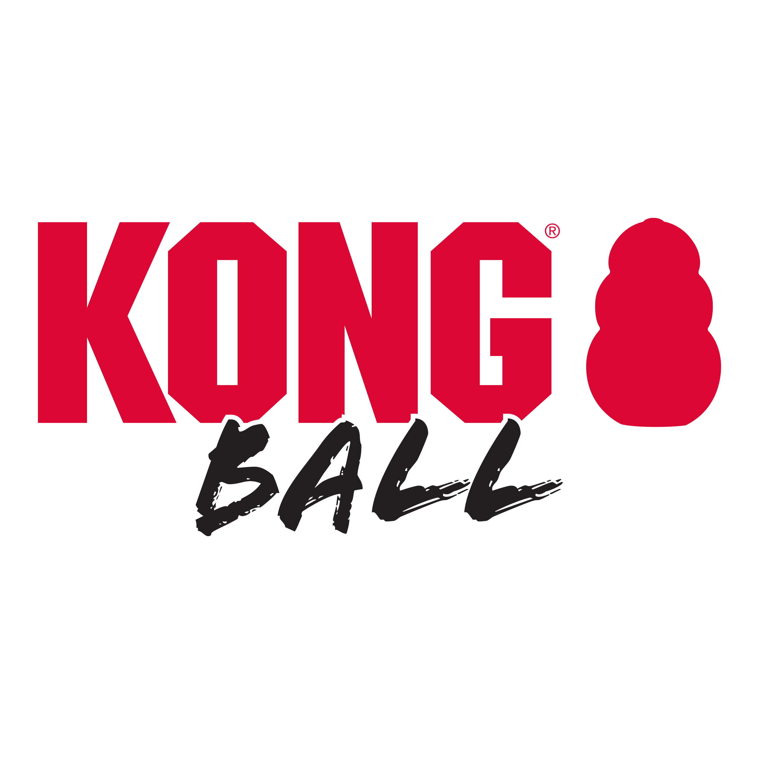 Kong Extreme Ball