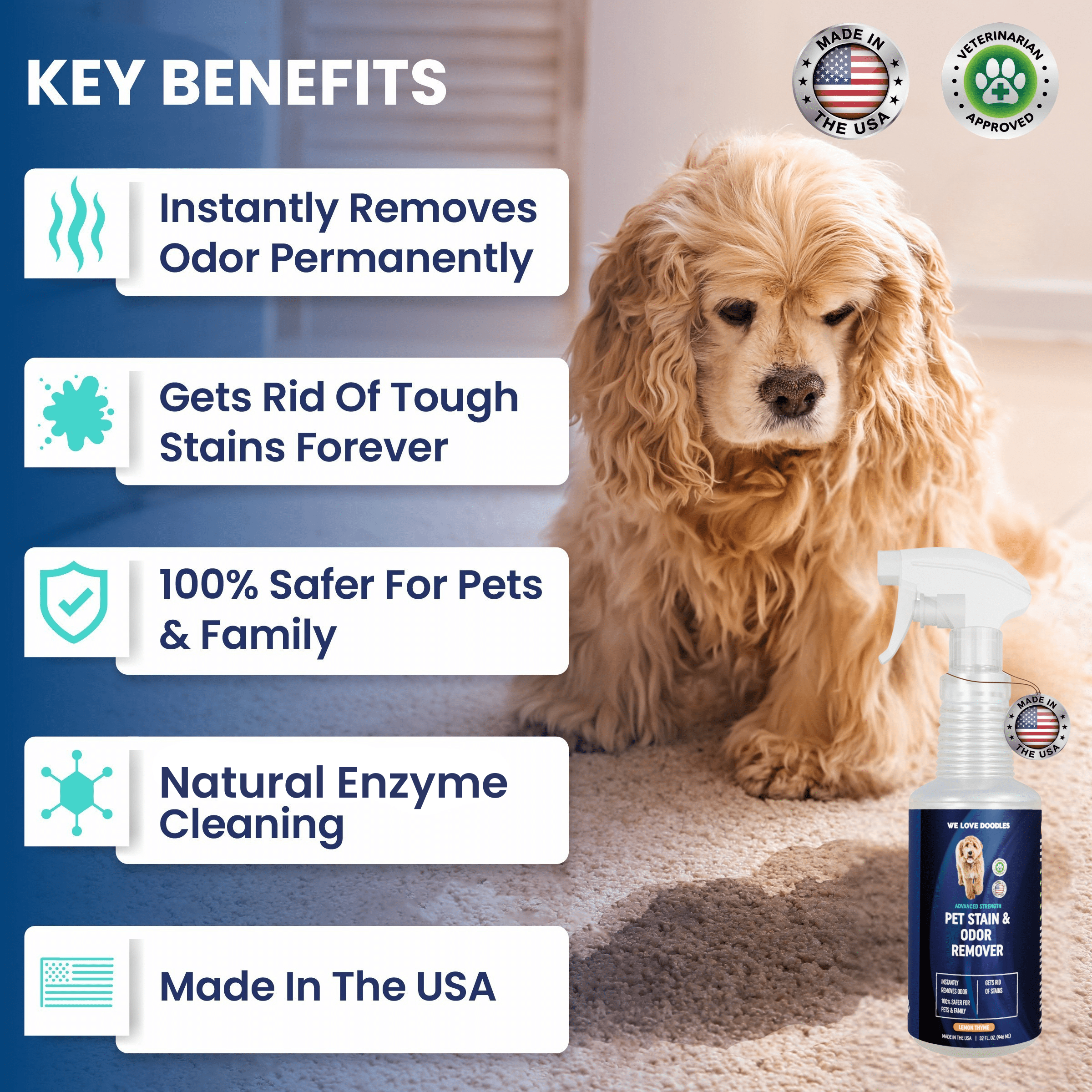 Pet Stain Remover