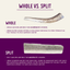 Natural Elk Antlers - Whole