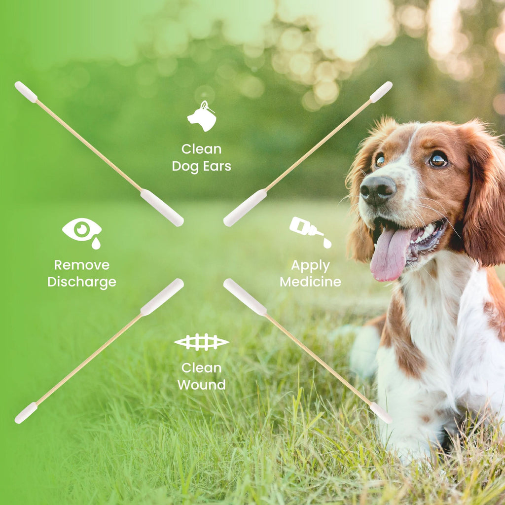 Dog Ear Wash & Swabs Cleaning Kit