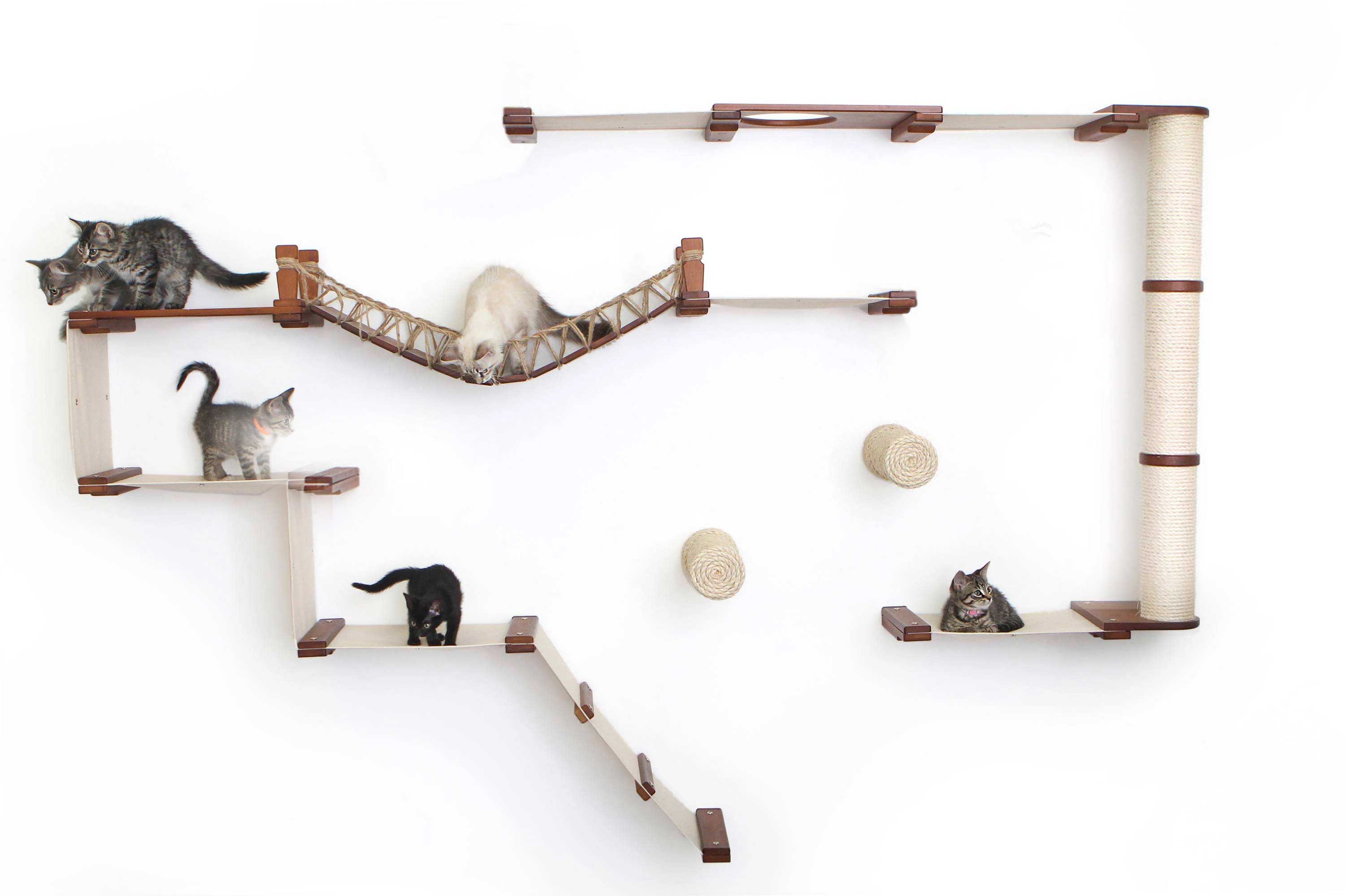 The Juggernaut - Indoor Cat Playground for Wall