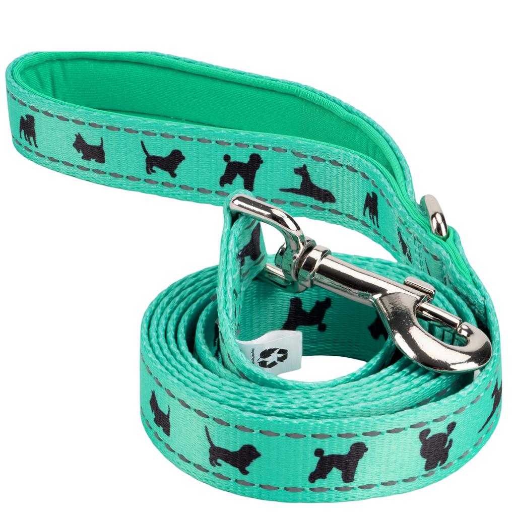 EcoBark Mint Turquoise Dog Leash - Comfort Grip Padded Leash - 4ft, 5ft, and 6ft Dog Leash for Small and Medium Dogs