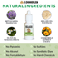 Dog Ear Serum Kit