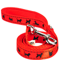 EcoBark Safety Orange Dog Leash- Padded Comfort Grip Leash with Dog Pattern - 4ft, 5ft, and 6ft Leash for Small and Medium Dogs