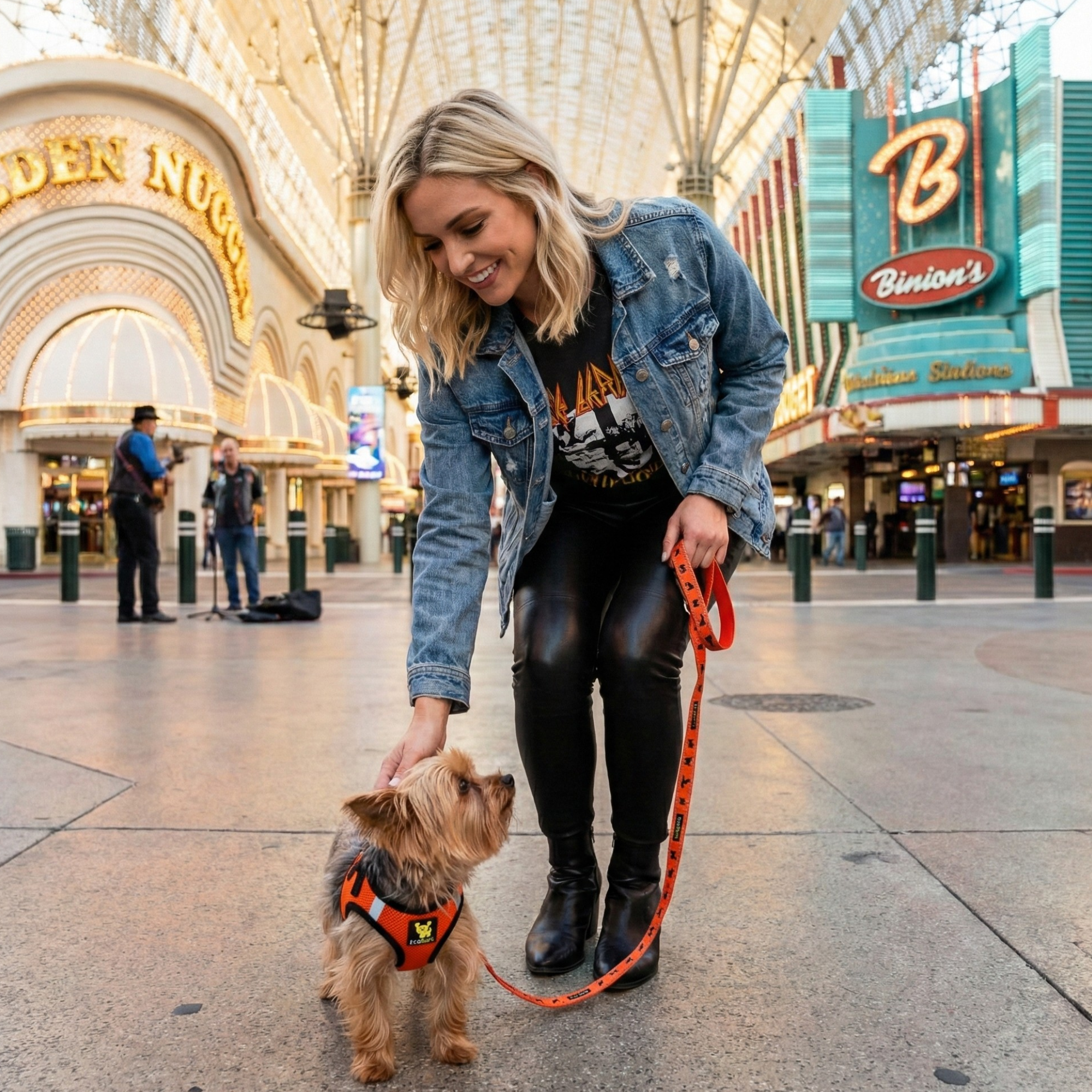 EcoBark Step In Dog Harness - XXXS to Small Breeds- Reflective Soft Mesh Harness for Teacup, Small Dogs and Puppies / Orange