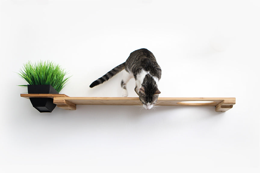 Cat Plant Stand for Wall
