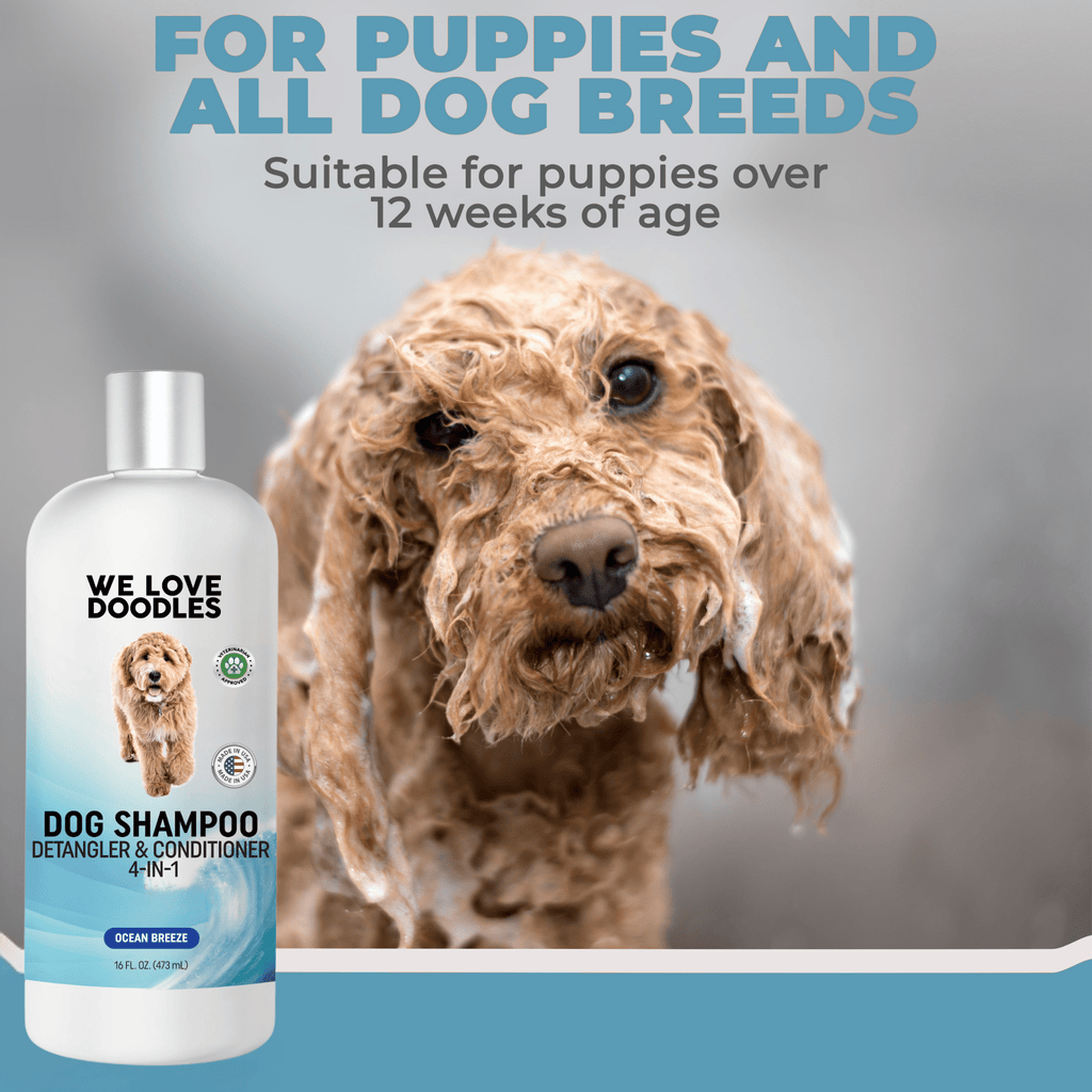 Dog Shampoo New Scents – Mango & Ocean Breeze (4-in-1)