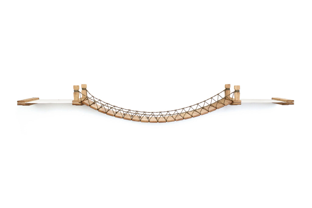 Double Cat Hammock and Climbing Bridge Combo