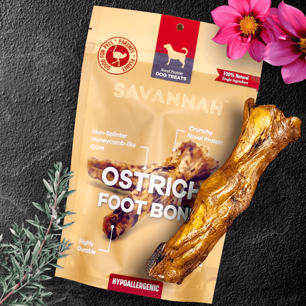 Ostrich Foot Bone (7" x 3.5"): The Flavorful & Long-Lasting Chew for Small to Medium Dogs