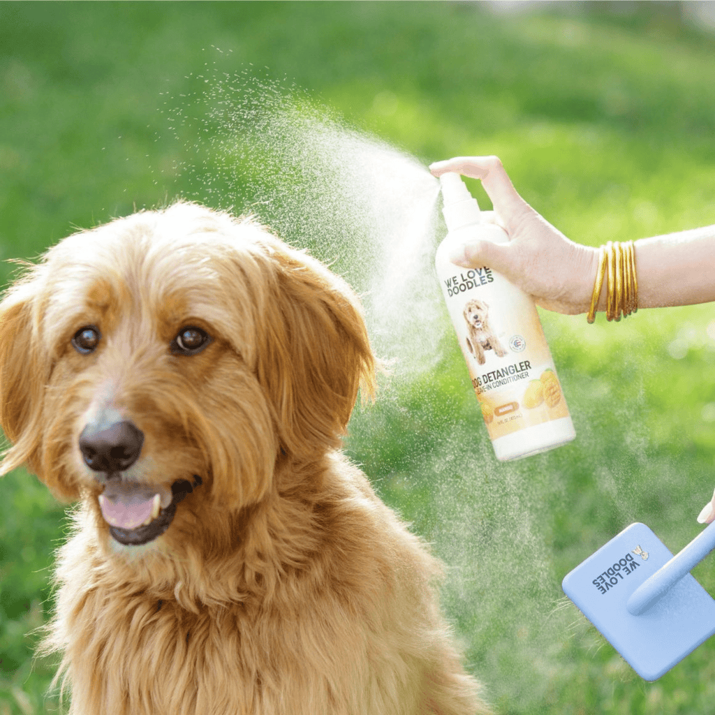 Dog Detangler Spray (Mango Scent)