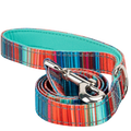Stripe Dog Leash by EcoBark - Multicolor Padded Comfort Grip Leash - 4ft, 5ft, and 6ft Leash for Small and Medium Dogs