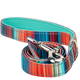 Stripe Dog Leash by EcoBark - Multicolor Padded Comfort Grip Leash - 4ft, 5ft, and 6ft Leash for Small and Medium Dogs