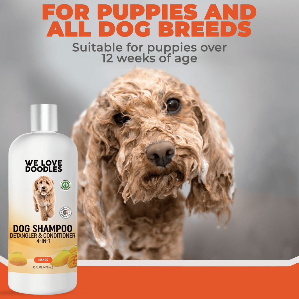 Dog Shampoo Variety Pack – Lavender, Mango & Ocean Breeze