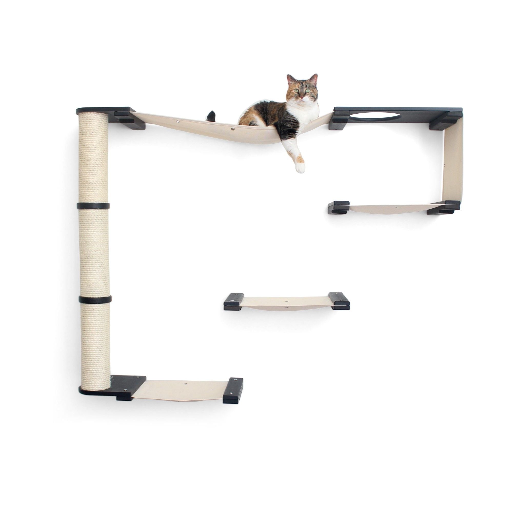 The Climb Condo - Cat Wall Climbing System