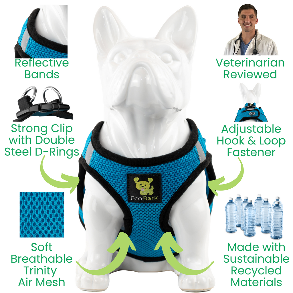 EcoBark Step In Dog Harness - XXXS to Small Breeds- Reflective Soft Mesh Harness for Teacup, Small Dogs and Puppies / Teal