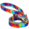 Tie Dye Dog Leash by EcoBark - Padded Comfort Grip Leash - 4ft, 5ft, and 6ft Leash for Small and Medium Dogs