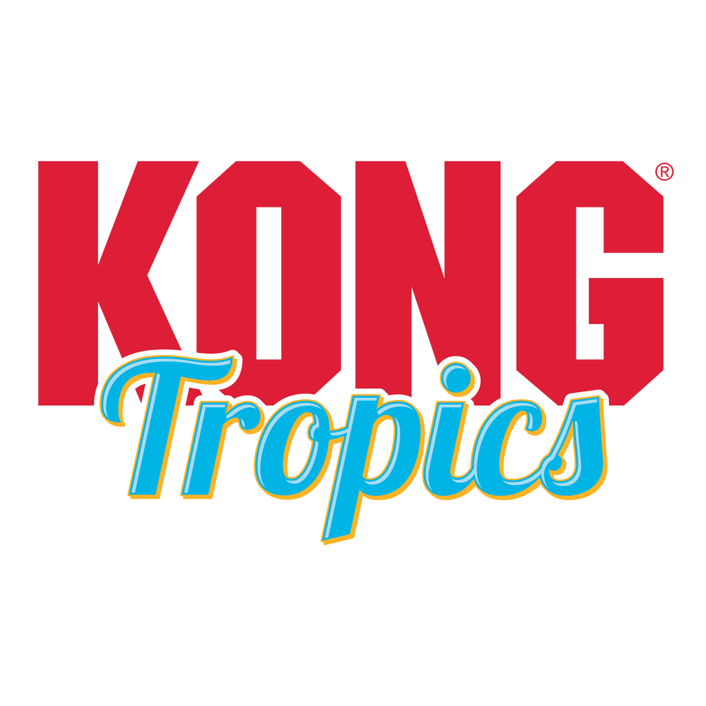 Kong Cat Tropics Bird Assorted