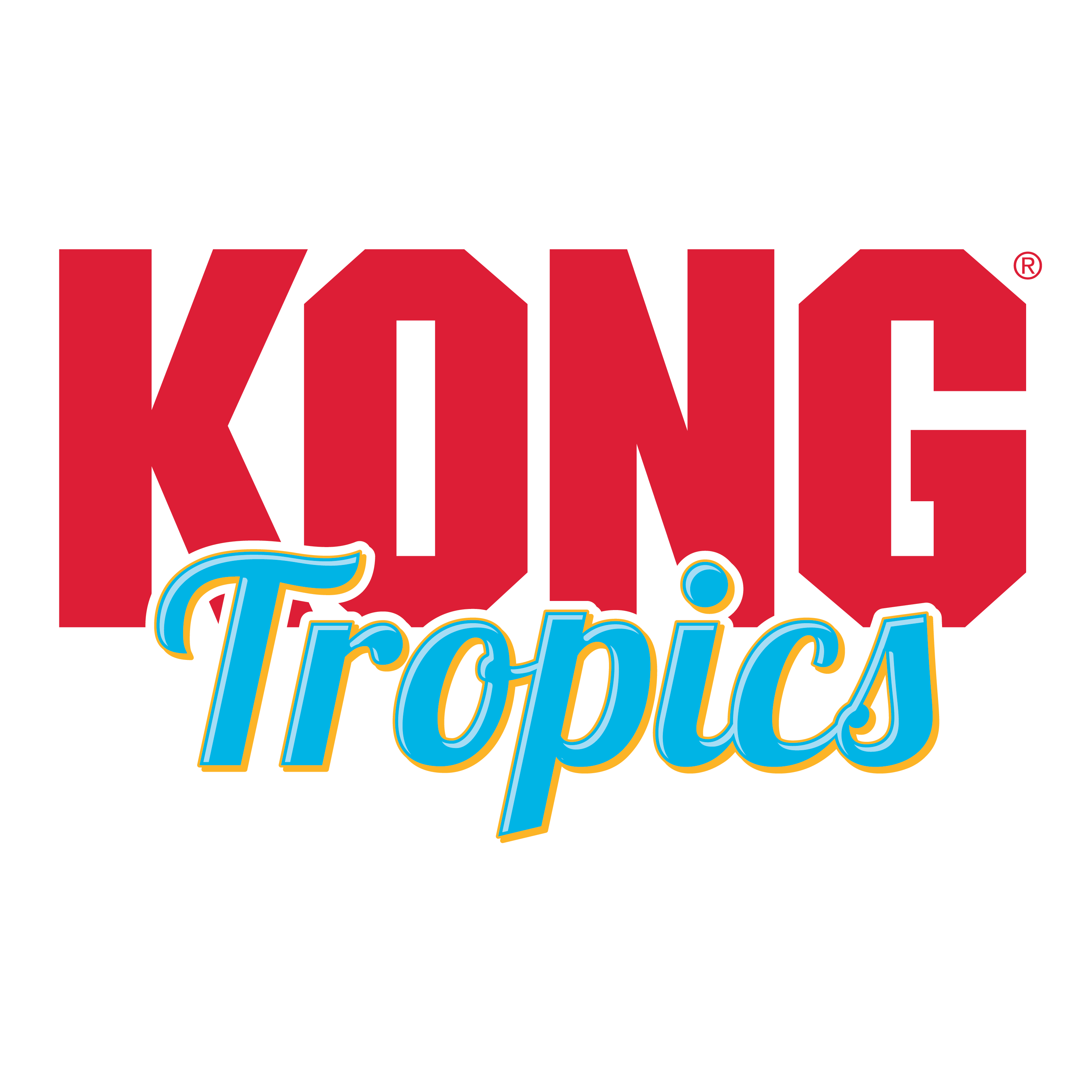 Kong Cat Tropics Bird Assorted