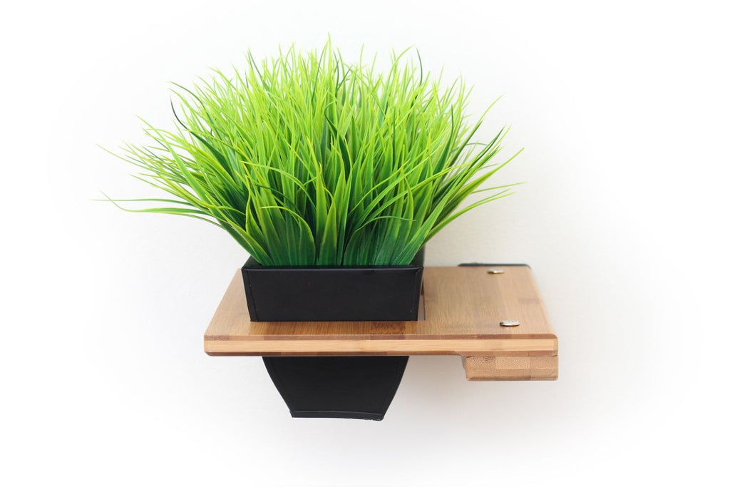 Cat Plant Stand for Wall