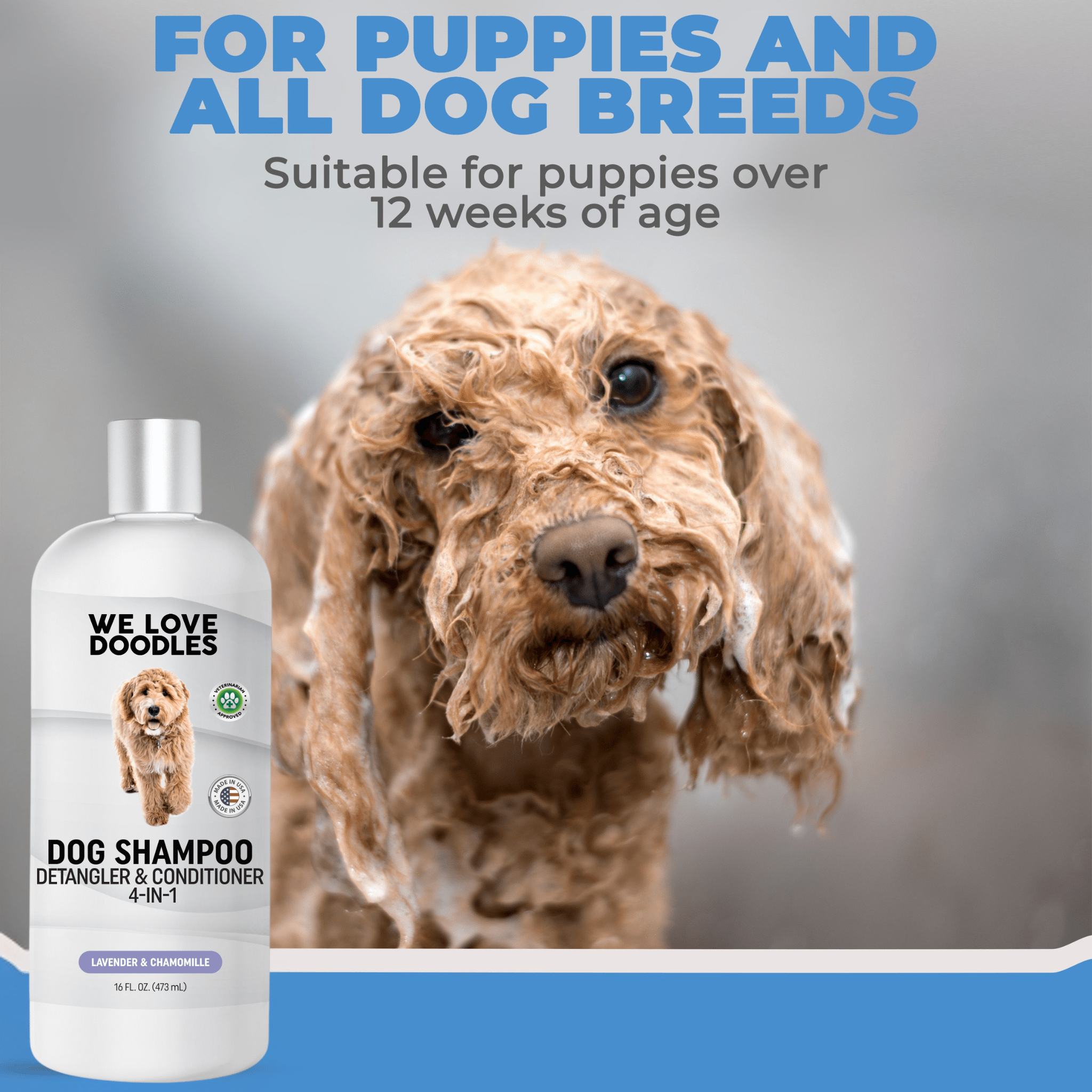 Dog Shampoo – Lavender 4-in-1 (3 Pack)