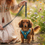 EcoBark Step In Dog Harness - XXXS to Small Breeds- Reflective Soft Mesh Harness for Teacup, Small Dogs and Puppies / Aqua Sport