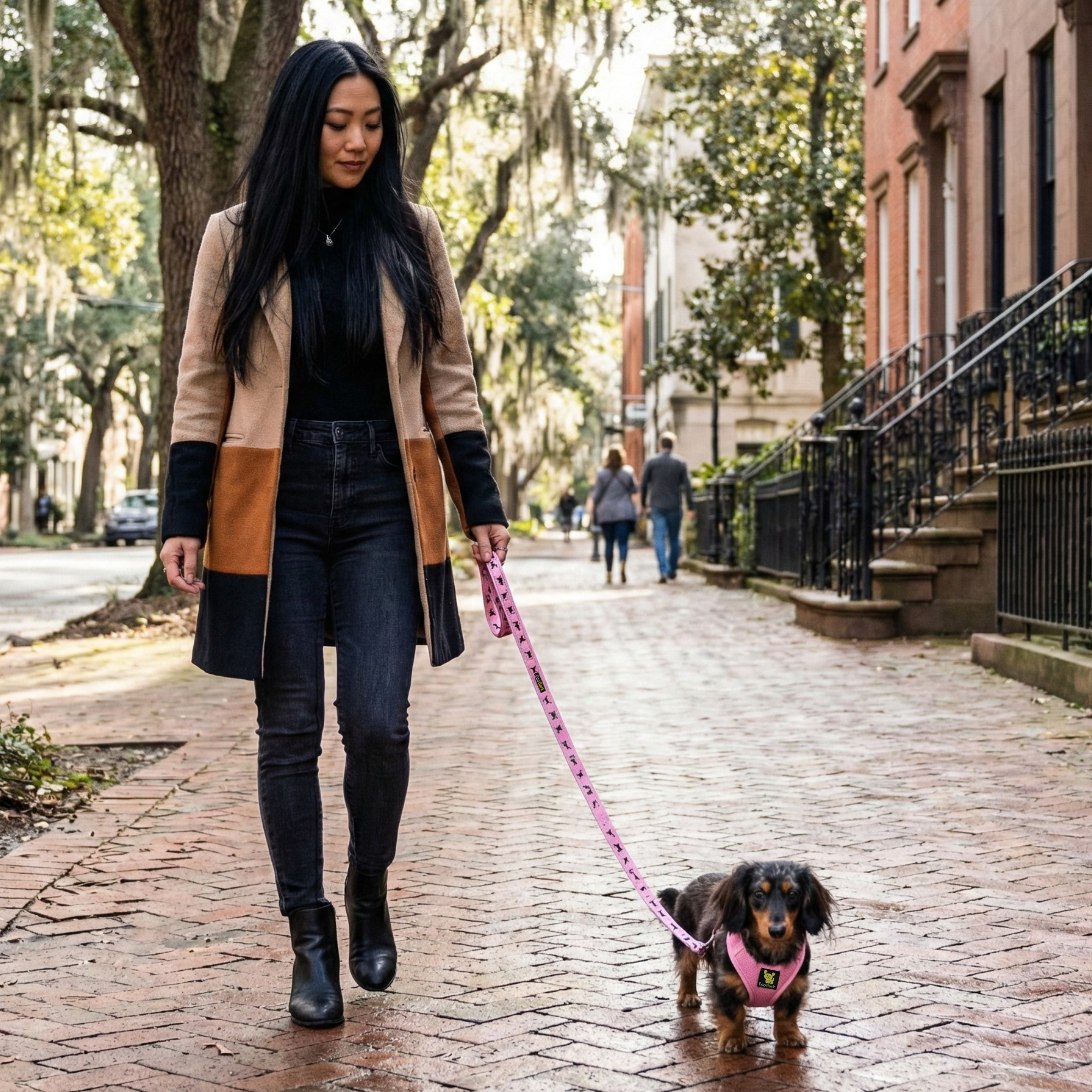 EcoBark Baby Pink Dog Leash - Comfort Grip Padded Leash- 4 ft, 5ft, and 6ft Leash