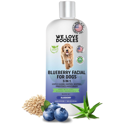 Blueberry Facial Dog Shampoo