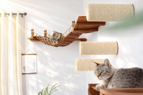 Corner Cat Shelf Bridge