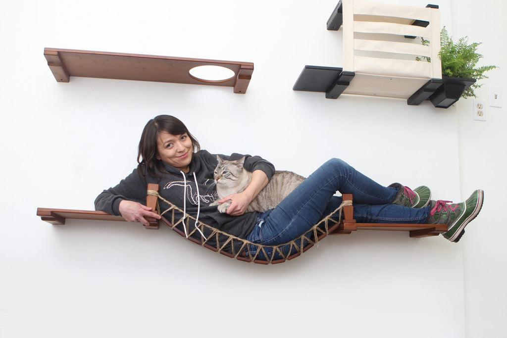 Cat Wall Bridge and Shelf Set
