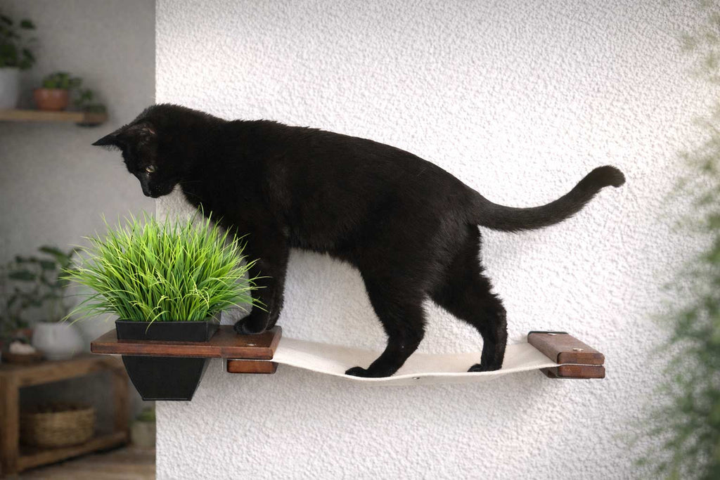 Cat Hammock Wall with Planter