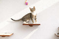 Cat Perch - Wall Mounted and Wooden