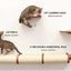 Cat Perch - Wall Mounted and Wooden