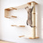 The Climb Condo - Cat Wall Climbing System