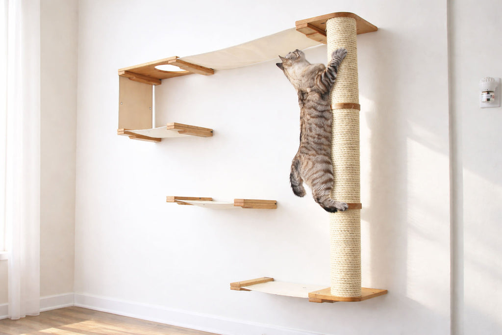 The Climb Condo - Cat Wall Climbing System