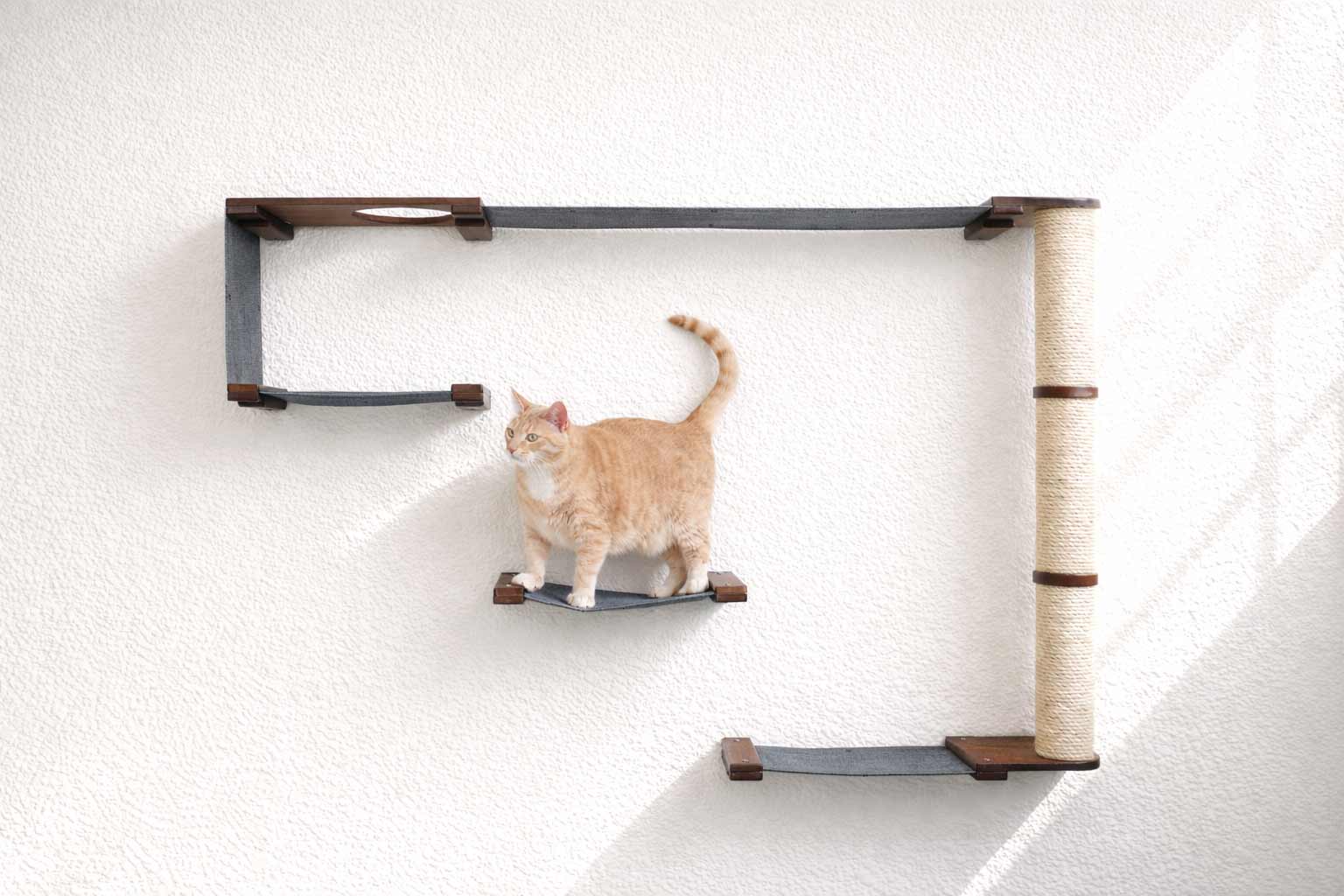 The Climb Condo - Cat Wall Climbing System