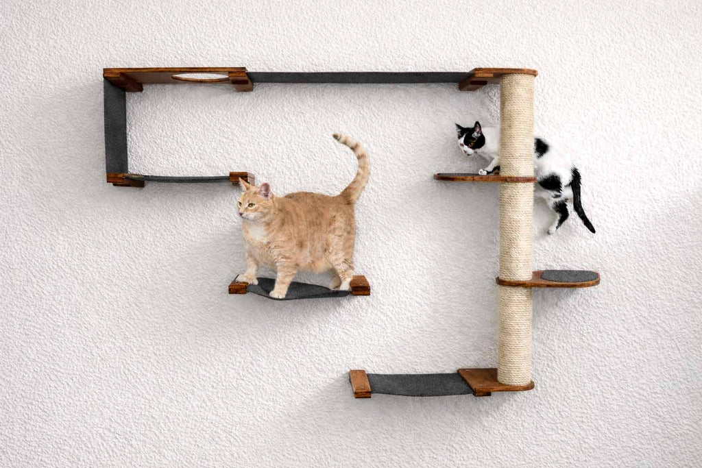 The Climb Condo - Cat Wall Climbing System