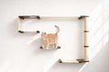 The Climb Condo - Cat Wall Climbing System