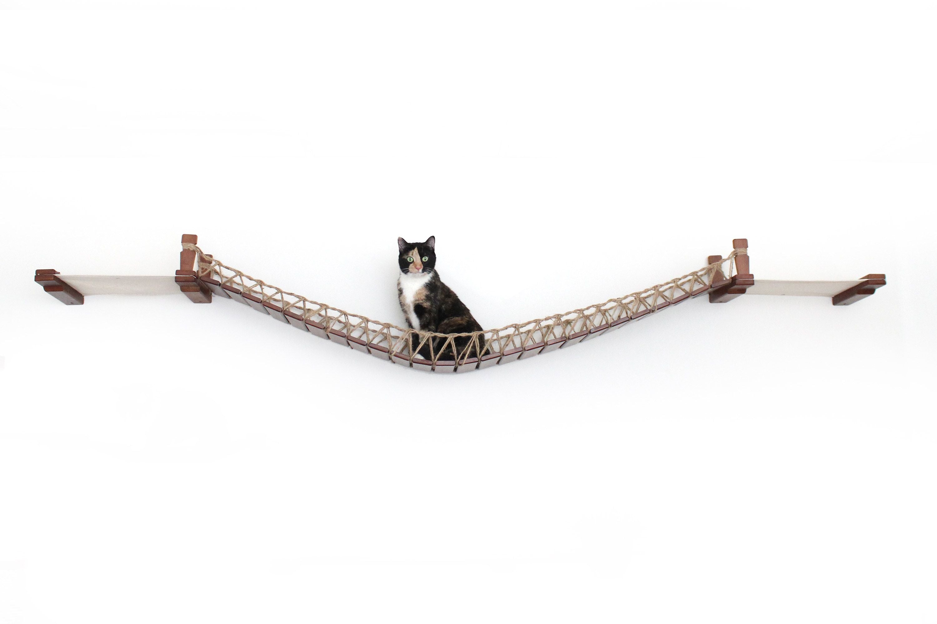 Double Cat Hammock and Climbing Bridge Combo