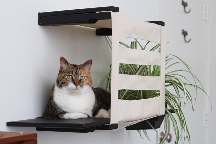 Deluxe Cat Cubby Bed