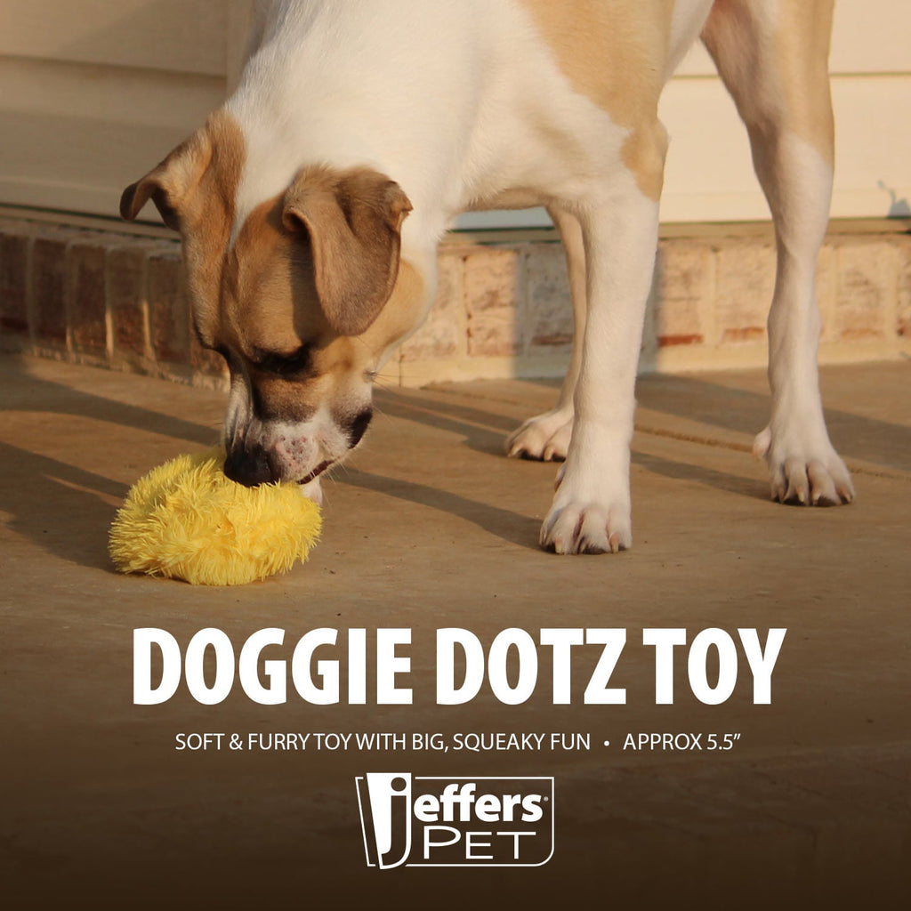 5" Doggie Dotz Plush Squeaker Dog Toy, Each