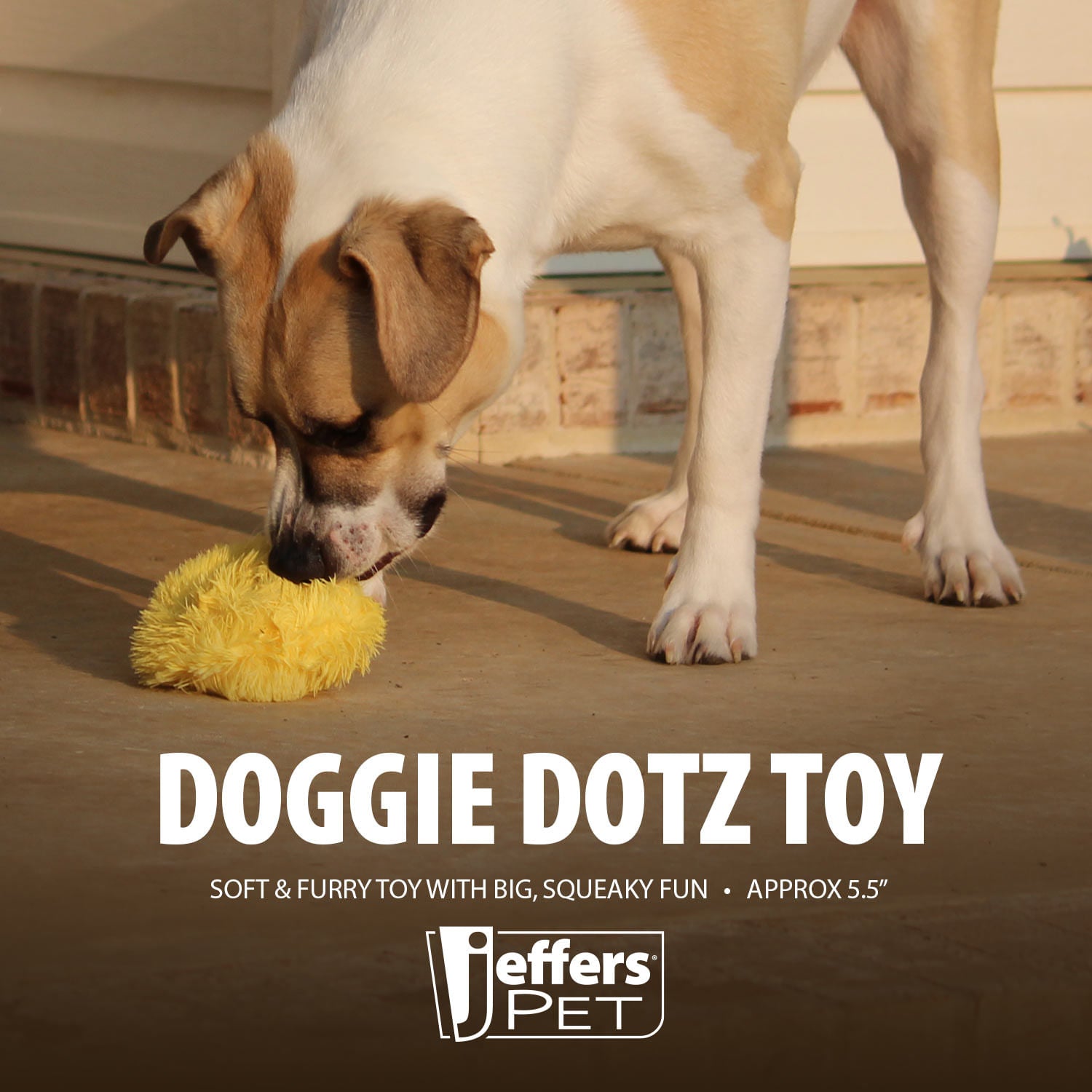 5" Doggie Dotz Plush Squeaker Dog Toy, Each