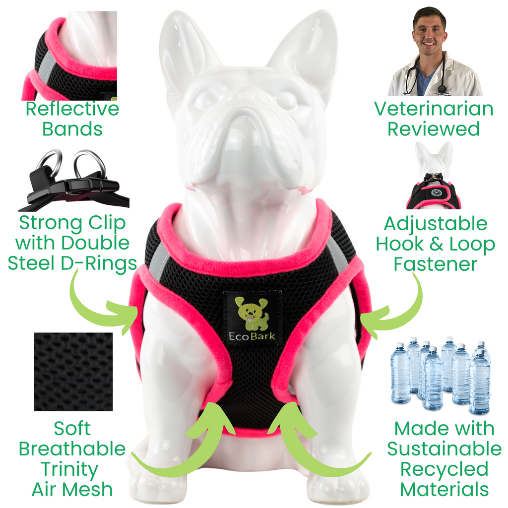EcoBark Step In Dog Harness - XXXS to Small Breeds- Reflective Soft Mesh Harness for Teacup, Small Dogs and Puppies / Black w/ Pink Piping