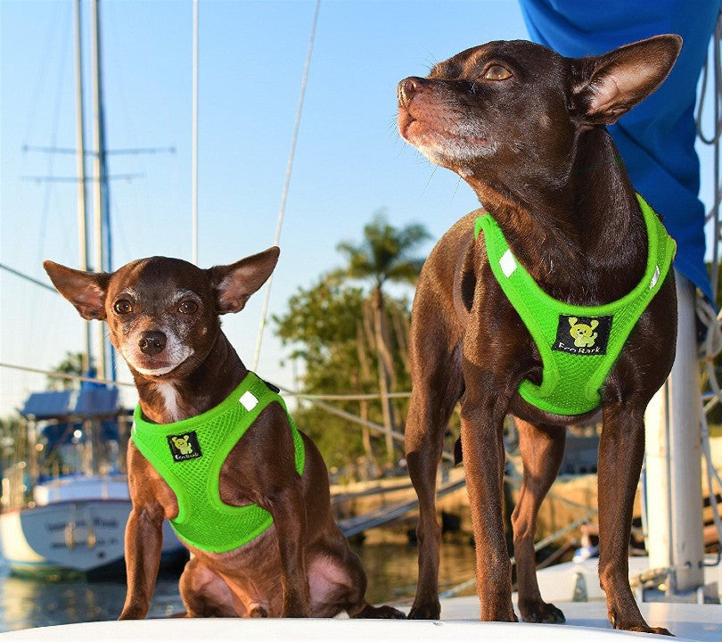 EcoBark Lime Green Step In Dog Harness - Reflective Soft Mesh Harness for Teacup, Small Dogs and Puppies